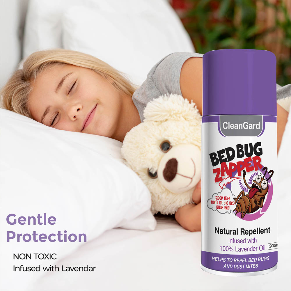 bedbug image